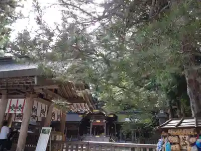 諏訪大社(長野県)