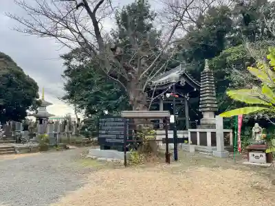 徳蔵院の{uncategorized: "未分類", other: "その他", undefined: "問題あり", building: "その他建物", grave: "お墓", sacred_gate: "鳥居", guardian: "狛犬", statue: "像", buddha: "仏像", history: "歴史", nature: "自然", garden: "庭園", animal: "動物", pagoda: "塔", temizu: "手水舎", mountain_gate: "山門・神門", sanctuary: "本殿・本堂", subordinate: "末社・摂社", art: "芸術", scenery: "景色", jizo: "地蔵", ema: "絵馬", goshuin: "御朱印", omikuji: "おみくじ", items: "授与品その他", amulet: "お守り", goshuincho: "御朱印帳", eats: "食事", festival: "お祭り", votive_dance: "神楽", shichigosan: "七五三参", wedding: "結婚式", experience: "体験その他", initially: "初詣", around: "周辺", anti_infection: "感染症対策"}