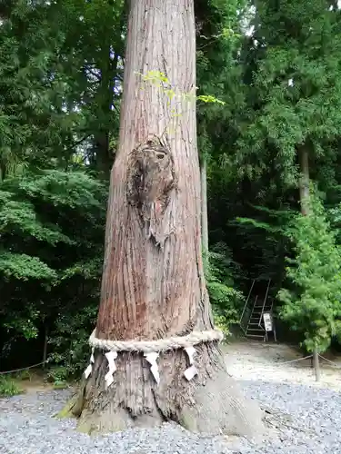 鹿嶋神社の庭園