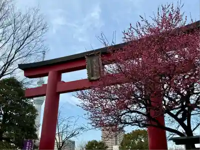 亀戸天神社(東京都)