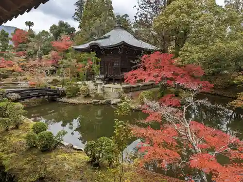 清凉寺の庭園