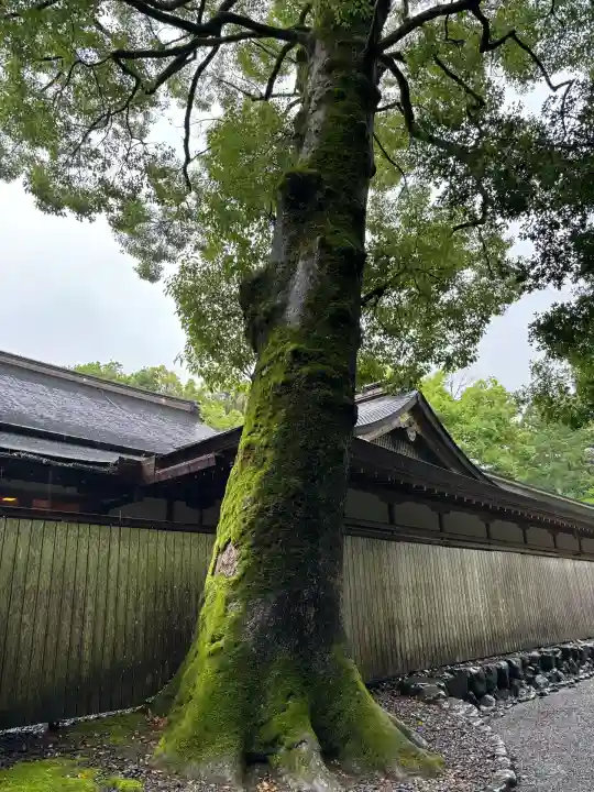 伊勢神宮外宮(豊受大神宮)(三重県)