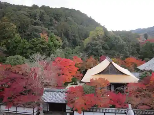 南禅寺の景色