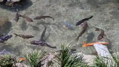 滋賀院門跡(滋賀県)