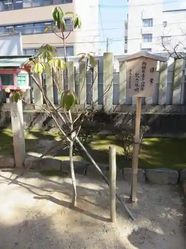 率川神社（大神神社摂社）の自然