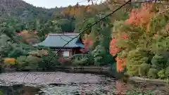 龍安寺の景色