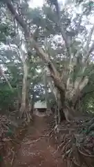 塩釜神社の建物その他