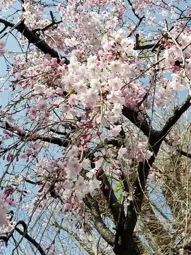 東光寺(東京都)