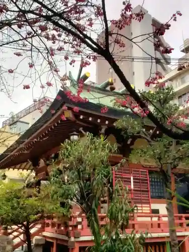 秋葉神社(東京都)