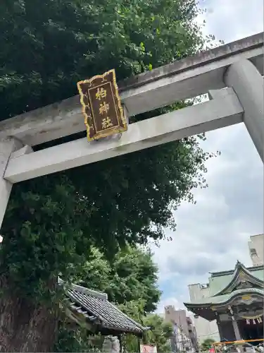 柏神社(千葉県)