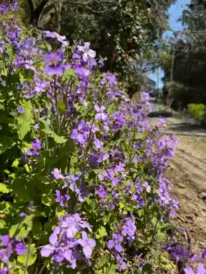 太平山神社の{uncategorized: "未分類", other: "その他", undefined: "問題あり", building: "その他建物", grave: "お墓", sacred_gate: "鳥居", guardian: "狛犬", statue: "像", buddha: "仏像", history: "歴史", nature: "自然", garden: "庭園", animal: "動物", pagoda: "塔", temizu: "手水舎", mountain_gate: "山門・神門", sanctuary: "本殿・本堂", subordinate: "末社・摂社", art: "芸術", scenery: "景色", jizo: "地蔵", ema: "絵馬", goshuin: "御朱印", omikuji: "おみくじ", items: "授与品その他", amulet: "お守り", goshuincho: "御朱印帳", eats: "食事", festival: "お祭り", votive_dance: "神楽", shichigosan: "七五三参", wedding: "結婚式", experience: "体験その他", initially: "初詣", around: "周辺", anti_infection: "感染症対策"}