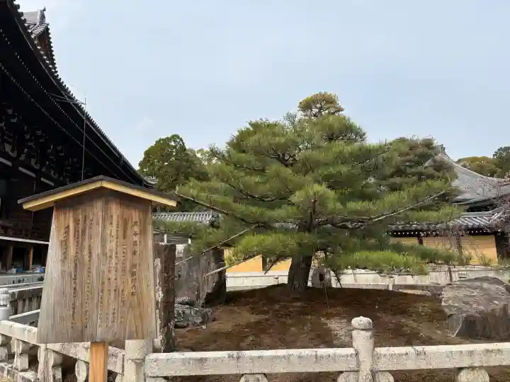 くろ谷 金戒光明寺の{uncategorized: "未分類", other: "その他", undefined: "問題あり", building: "その他建物", grave: "お墓", sacred_gate: "鳥居", guardian: "狛犬", statue: "像", buddha: "仏像", history: "歴史", nature: "自然", garden: "庭園", animal: "動物", pagoda: "塔", temizu: "手水舎", mountain_gate: "山門・神門", sanctuary: "本殿・本堂", subordinate: "末社・摂社", art: "芸術", scenery: "景色", jizo: "地蔵", ema: "絵馬", goshuin: "御朱印", omikuji: "おみくじ", items: "授与品その他", amulet: "お守り", goshuincho: "御朱印帳", eats: "食事", festival: "お祭り", votive_dance: "神楽", shichigosan: "七五三参", wedding: "結婚式", experience: "体験その他", initially: "初詣", around: "周辺", anti_infection: "感染症対策"}