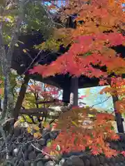 修禅寺(静岡県)