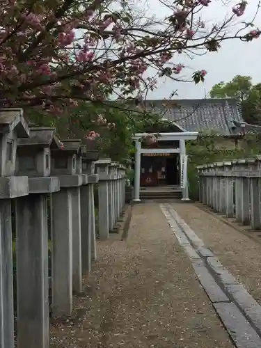 比佐豆知神社の鳥居