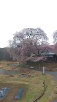 勝間薬師堂(長野県)