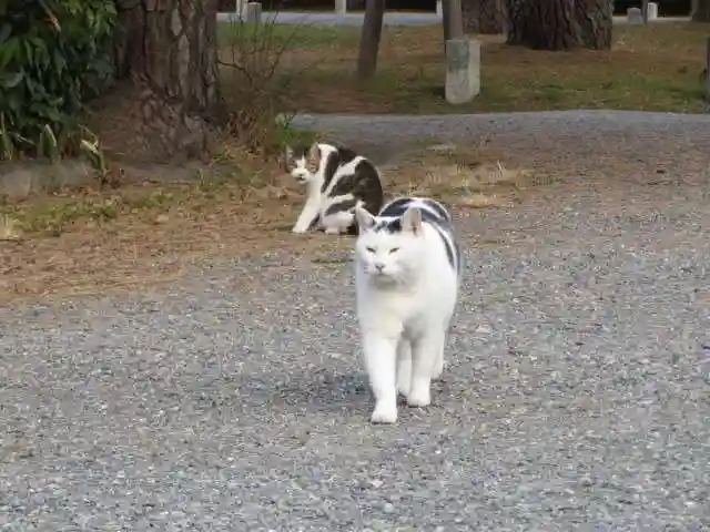護王神社の動物
