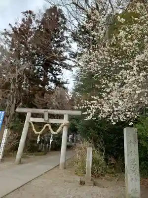 下野 星宮神社(栃木県)