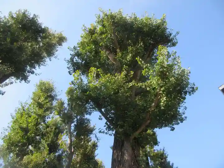 稲荷神社(東京都)