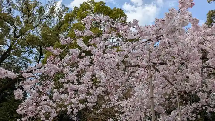 水無瀬神宮(大阪府)