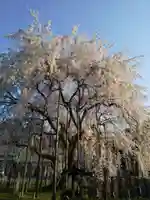 足羽神社(福井県)
