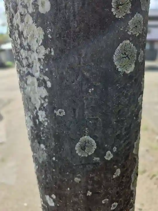 第六天神社(宮城県)