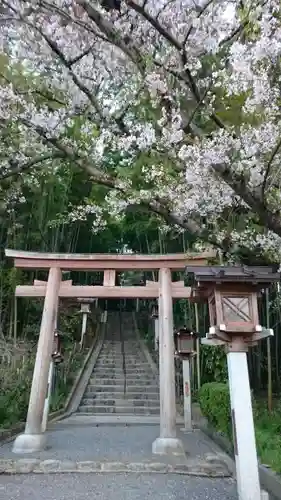 大神神社の鳥居