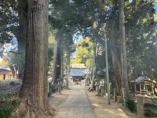 日吉神社(千葉県)