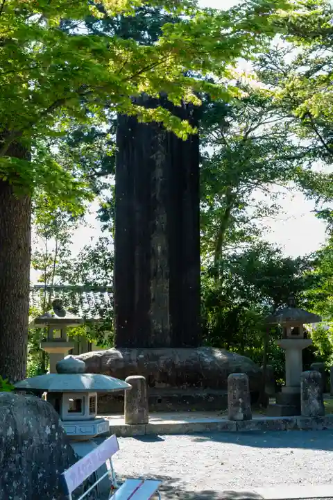 石見国一宮 物部神社(島根県)