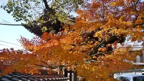 離宮八幡宮の自然