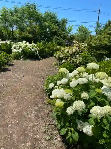 大神山神社本宮(鳥取県)