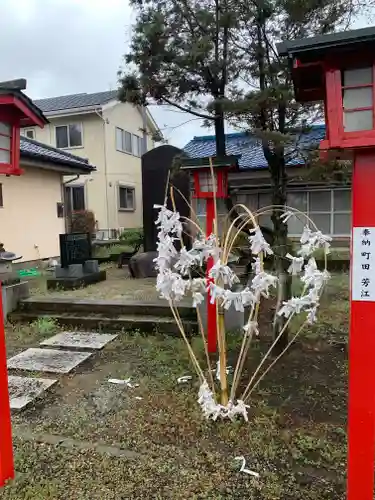 金井神社のおみくじ