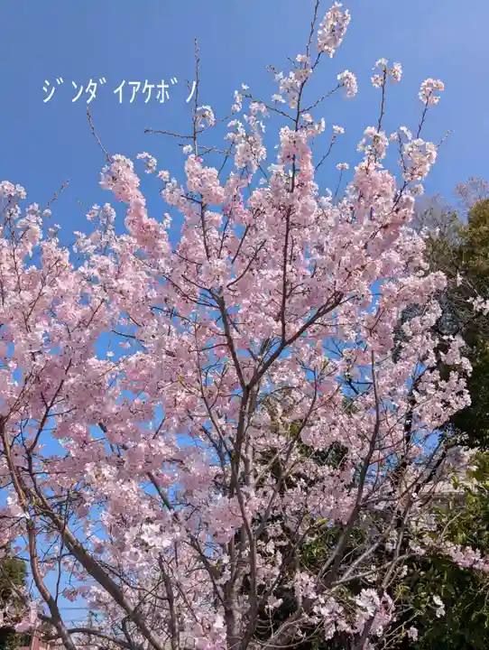 潮田神社(神奈川県)