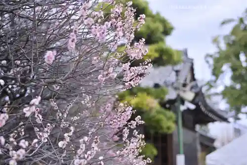 小村井 香取神社(東京都)