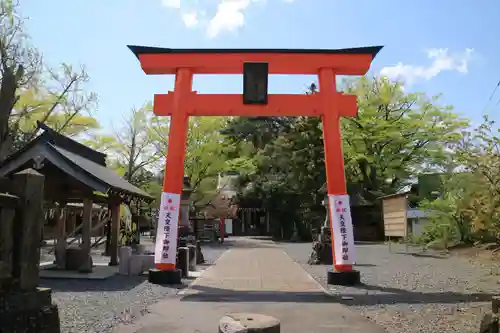 津島神社の鳥居