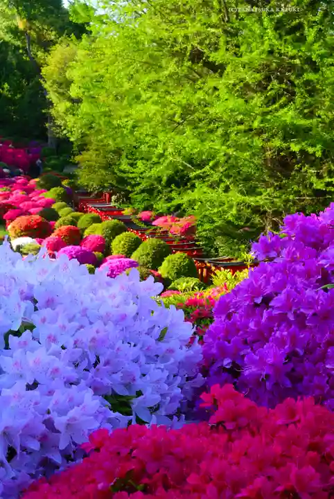 根津神社(東京都)