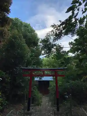 稲荷神社(埼玉県)