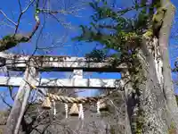 天鷹神社の鳥居