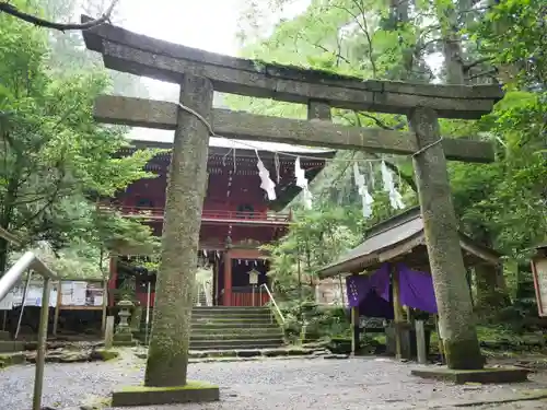 花園神社の鳥居