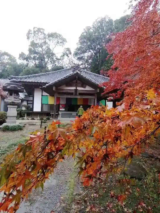 薬王寺の本殿・本堂