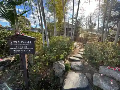 大安寺(奈良県)