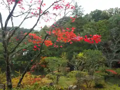 円成寺の{uncategorized: "未分類", other: "その他", undefined: "問題あり", building: "その他建物", grave: "お墓", sacred_gate: "鳥居", guardian: "狛犬", statue: "像", buddha: "仏像", history: "歴史", nature: "自然", garden: "庭園", animal: "動物", pagoda: "塔", temizu: "手水舎", mountain_gate: "山門・神門", sanctuary: "本殿・本堂", subordinate: "末社・摂社", art: "芸術", scenery: "景色", jizo: "地蔵", ema: "絵馬", goshuin: "御朱印", omikuji: "おみくじ", items: "授与品その他", amulet: "お守り", goshuincho: "御朱印帳", eats: "食事", festival: "お祭り", votive_dance: "神楽", shichigosan: "七五三参", wedding: "結婚式", experience: "体験その他", initially: "初詣", around: "周辺", anti_infection: "感染症対策"}