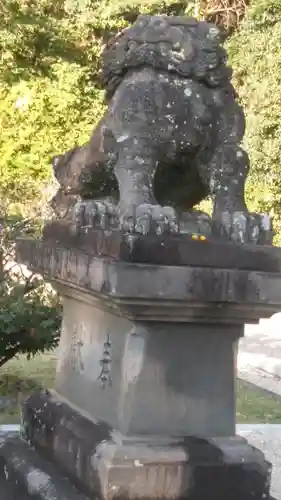 橘神社の狛犬