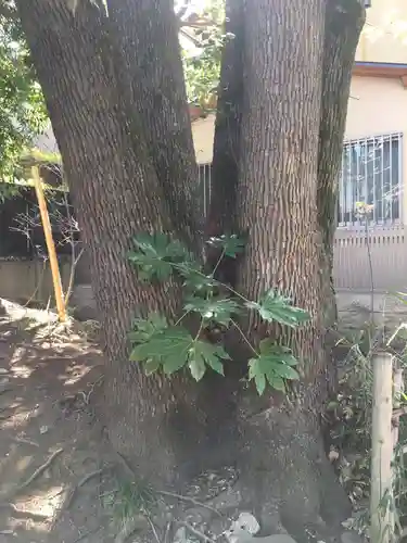 渋谷氷川神社のその他建物