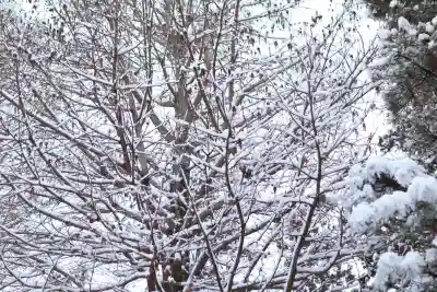 忍　諏訪神社・東照宮　の{uncategorized: "未分類", other: "その他", undefined: "問題あり", building: "その他建物", grave: "お墓", sacred_gate: "鳥居", guardian: "狛犬", statue: "像", buddha: "仏像", history: "歴史", nature: "自然", garden: "庭園", animal: "動物", pagoda: "塔", temizu: "手水舎", mountain_gate: "山門・神門", sanctuary: "本殿・本堂", subordinate: "末社・摂社", art: "芸術", scenery: "景色", jizo: "地蔵", ema: "絵馬", goshuin: "御朱印", omikuji: "おみくじ", items: "授与品その他", amulet: "お守り", goshuincho: "御朱印帳", eats: "食事", festival: "お祭り", votive_dance: "神楽", shichigosan: "七五三参", wedding: "結婚式", experience: "体験その他", initially: "初詣", around: "周辺", anti_infection: "感染症対策"}