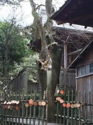 温泉神社の自然