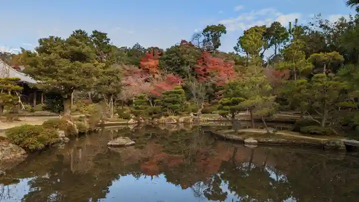法金剛院(京都府)
