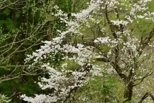 妙龍神社(新潟県)