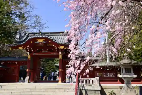 秩父神社の自然