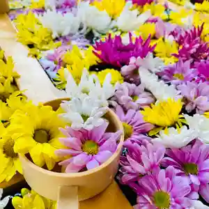 土津神社|こどもと出世の神さまの手水舎(2021年03月22日(月) 14時38分06秒投稿)