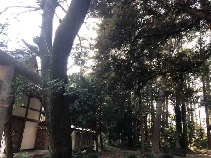 三ケ尻八幡神社の自然